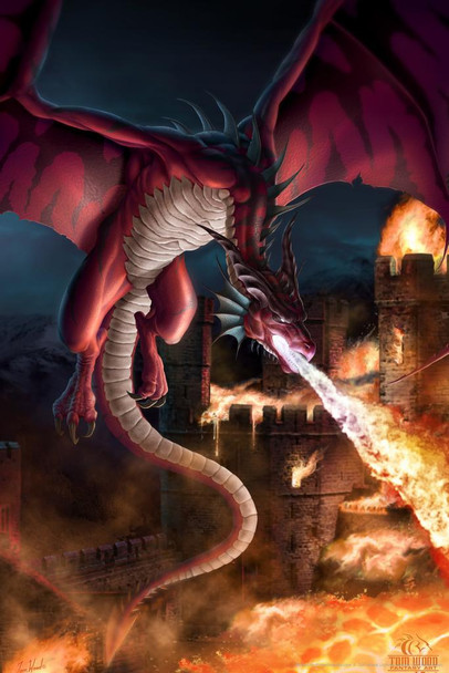 Incineration Dragon Fire Tom Wood Fantasy Cool Wall Art Print Poster 16x24