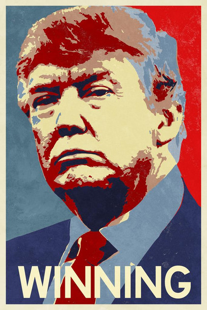 Donald Trump For President Winning Campaign Cool Wall Decor Art Print Poster 16x24