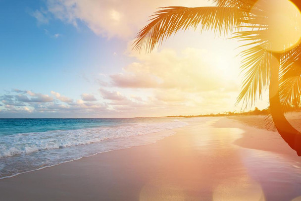 Laminated Beautiful Tropical Sandy Beach Palm Trees Ocean Sunset Sunspots Dramatic Artistic Photo Landscape Pictures Scenic Scenery Nature Photography Paradise Scenes Poster Dry Erase Wall Art 24x16