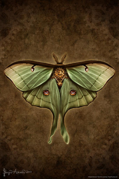 Laminated Steampunk Luna Moth by Brigid Ashwood Butterfly Wall Decor Insect Wall Art of Moths and Butterflies Illustrations Poster Dry Erase Sign 16x24