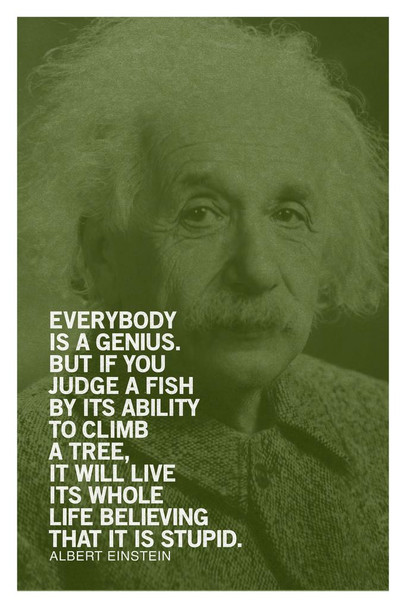 Laminated Albert Einstein Everybody Is A Genius Motivational Green Quote Poster Dry Erase Sign 16x24