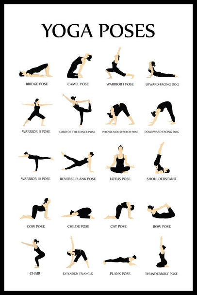 Laminated Workout Posters For Home Gym Yoga Poses Reference Chart Studio Black White Exercise Motivational Class Poster Dry Erase Sign 16x24