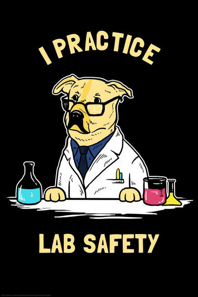 Laminated I Practice Lab Safety Labrador Dog Funny Parody LCT Creative Poster Dry Erase Sign 16x24