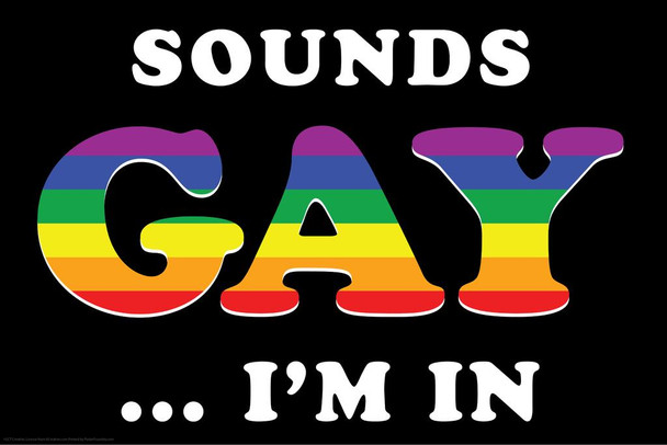Laminated Sounds Gay Im In Funny Poster Dry Erase Sign 16x24