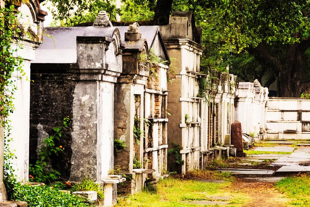 Laminated Tombs and Mausoleums in Old Cemetery New Orleans Photo Photograph Poster Dry Erase Sign 24x16