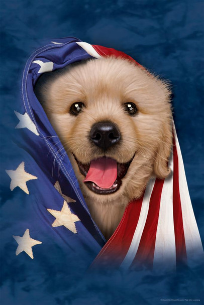 Laminated Cute Puppy in American Flag by Vincent Hie Patriotic Puppy Posters For Wall Funny Dog Wall Art Dog Wall Decor Puppy Posters For Kids Bedroom Animal Wall Poster Poster Dry Erase Sign 16x24