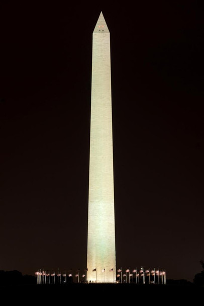 Laminated Washington Monument at Night Photo Photograph Poster Dry Erase Sign 16x24