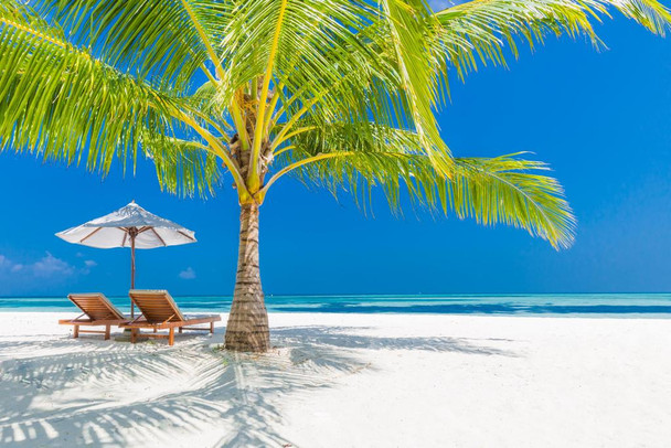 Laminated Vacation Holiday in Paradise Lounge Chair Under Palm Tree on Beach Photo Photograph Sunset Landscape Pictures Ocean Scenic Scenery Tropical Nature Photography Poster Dry Erase Wall Art 24x16