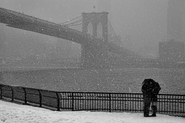 Laminated Winter Romance by Chris Lord Photo Photograph Snow Poster Dry Erase Sign 16x24