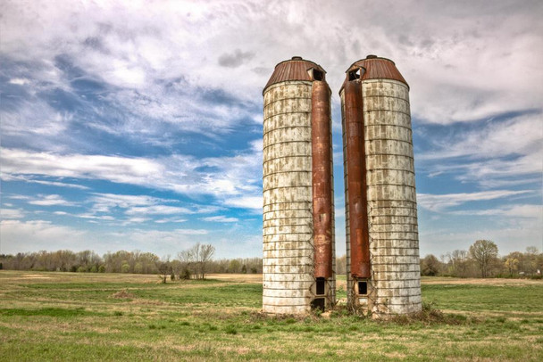 Rural Silos Standing in a Pasture Photo Photograph Cool Wall Decor Art Print Poster 24x16