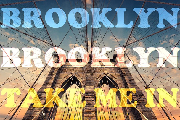 Laminated Brooklyn Brooklyn Take Me In Poster Dry Erase Sign 16x24