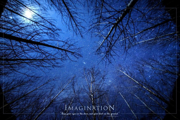 Imagination Keep Your Eyes on the Stars Motivational Theodore Roosevelt Quote Forest Trees Night Sky Cool Wall Decor Art Print Poster 16x24