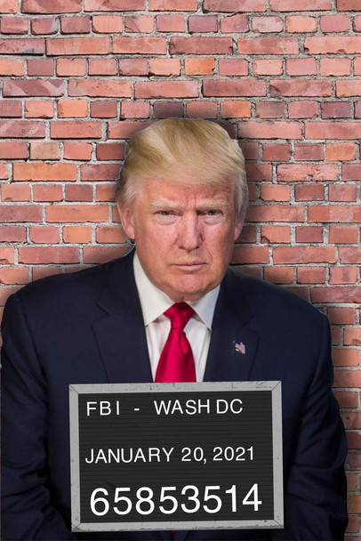 Donald Trump Mugshot Funny Political Cool Wall Decor Art Print Poster 16x24