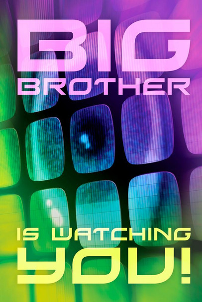 Big Brother Is Watching You Totalitarian Government State Warning Sign Cool Wall Decor Art Print Poster 16x24