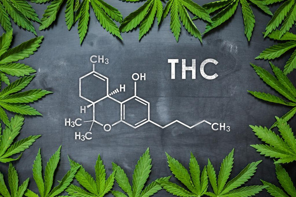 THC Marijuana Molecule Science Leaf Chalkboard Chemistry Weed Cannabis Room Dope Gifts Guys Propaganda Smoking Stoner Reefer Stoned Sign Buds Pothead Dorm Walls Cool Wall Decor Art Print Poster 16x24