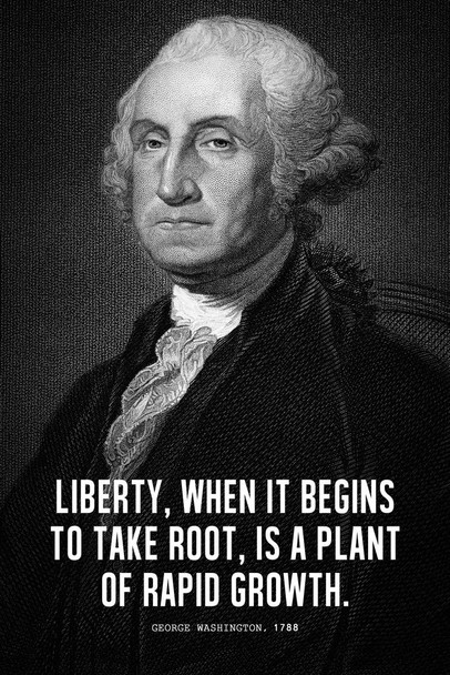 President George Washington Liberty Famous Motivational Inspirational Quote Portrait Teamwork Inspire Quotation Gratitude Positivity Motivate Word Art Cool Wall Art Print Poster 16x24