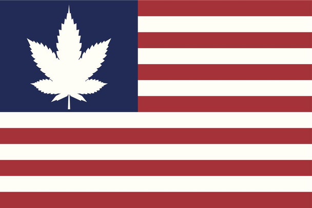 Laminated American Flag Weed Marijuana Poster Dry Erase Sign 24x16