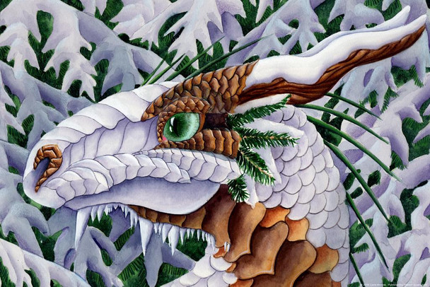 Winters Silent Steps by Carla Morrow Dragon Face Snow Covered Pine Trees Cool Wall Decor Art Print Poster 16x24