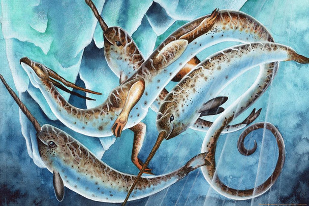 Icy Depths by Carla Morrow Dragon Narwhal Whales Swimming Under Arctic Ice Fantasy Cool Wall Decor Art Print Poster 16x24