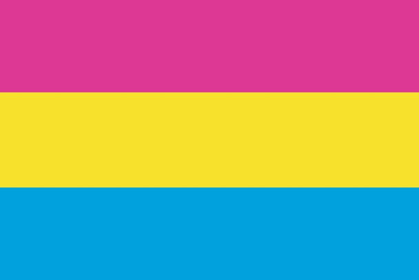 Pansexual Pride Flag Cool Wall Decor Art Print Poster 36x24
