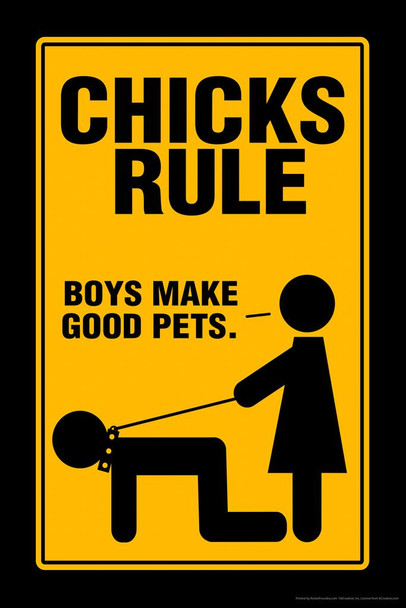 Laminated Chicks Rule Boys Make Good Pets Sign Humor Female Empowerment Feminist Feminism Woman Women Rights Matricentric Empowering Equality Justice Freedom Poster Dry Erase Sign 16x24
