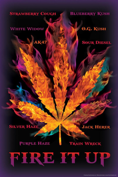 Laminated Fire It Up Marijuana Pot Leaf Names Fire Flames College Weed Cannabis Room Dope Gifts Guys Propaganda Smoking Stoner Reefer Stoned Sign Buds Pothead Dorm Walls Poster Dry Erase Sign 16x24