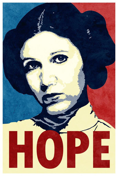 Laminated Hope Propaganda Poster Dry Erase Sign 16x24