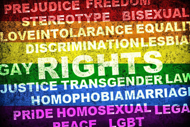 Laminated Human Rights LGBT Transgender Lesbian Racism Gay Pride Poster Dry Erase Sign 24x16