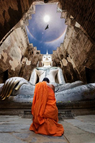 Laminated Status Stable Respectation Buddhist Monk Praying Photo Photograph Poster Dry Erase Wall Art 16x24