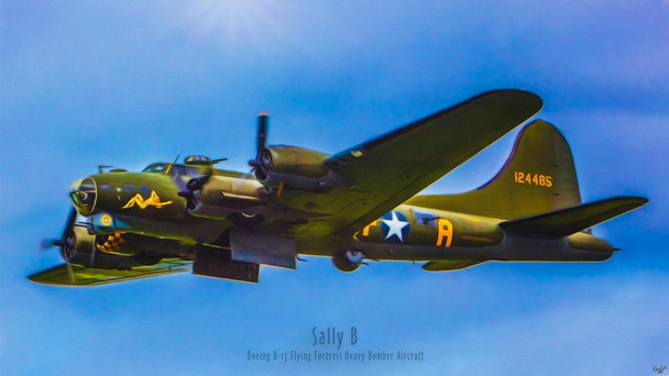 Laminated Sally B Paintography by Chris Lord Photo Photograph Poster Dry Erase Sign 16x24