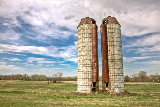 Laminated Rural Silos Standing in a Pasture Photo Photograph Poster Dry Erase Sign 24x16