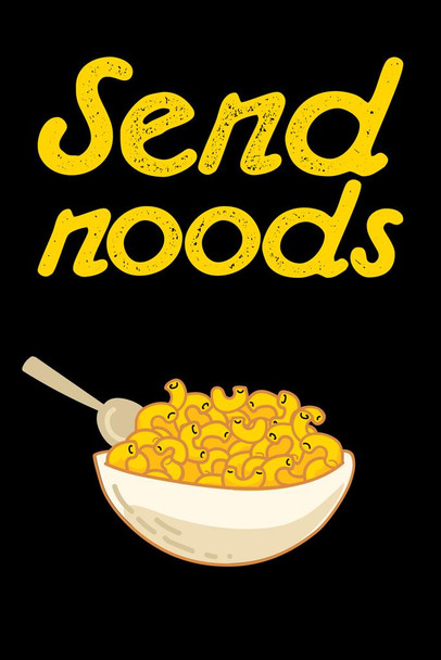 Laminated Send Noods Food Pun Noodles Pun Funny Poster Dry Erase Sign 16x24