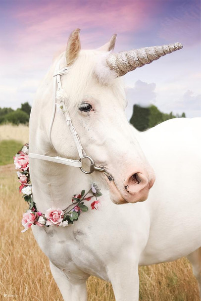 Laminated Unicorn Girls Bedroom Decor Pink Cute Fantasy Animal Horse Poster Dry Erase Sign 16x24