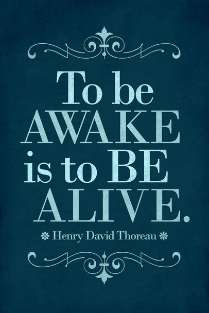 Henry David Thoreau To Be Awake Is To Be Alive Blue Cool Wall Decor Art Print Poster 12x18