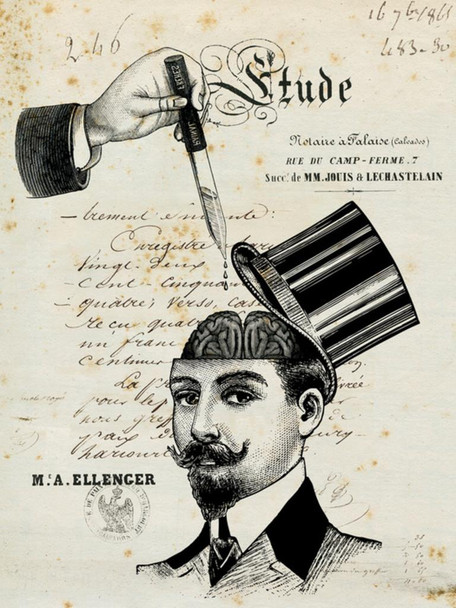 Laminated Etude Study French Ellenger Vintage Brain Educational Poster Top Hat Skull Head Illustration Poster Dry Erase Wall Art 24x36