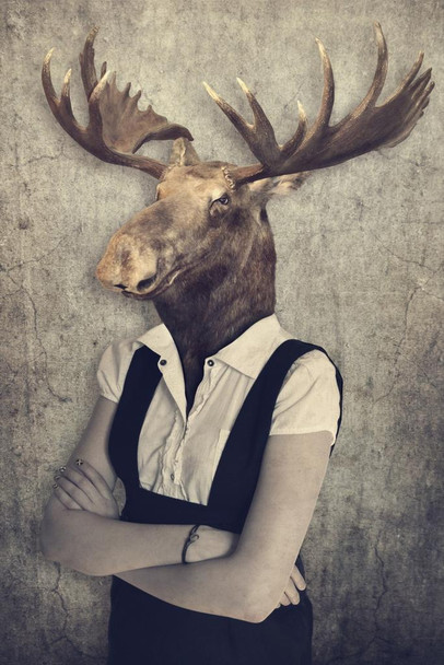 Moose Head Wearing Human Clothes Funny Parody Animal Face Portrait Art Photo Stretched Canvas Art Wall Decor 16x24