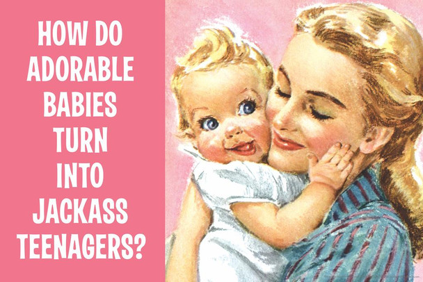 Laminated How Do Adorable Babies Turn Into Jackass Teenagers Humor Poster Dry Erase Sign 24x16