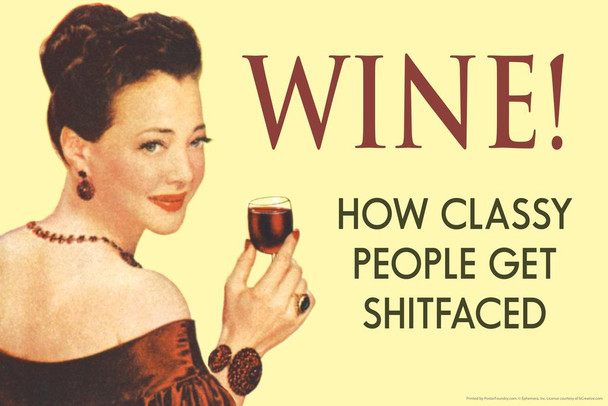 Wine! How Classy People Get Shtfaced Humor Cool Wall Decor Art Print Poster 24x16