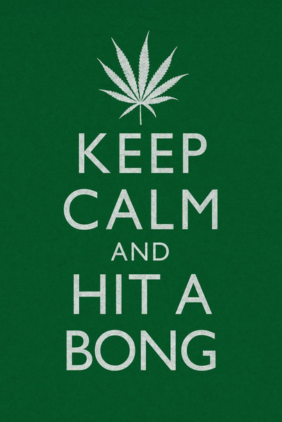 Marijuana Keep Calm And Hit A Bong Funny Cool Wall Decor Art Print Poster 16x24