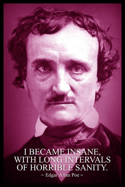Laminated Edgar Allan Poe I Became Insane Purple Famous Motivational Inspirational Quote Poster Dry Erase Sign 16x24