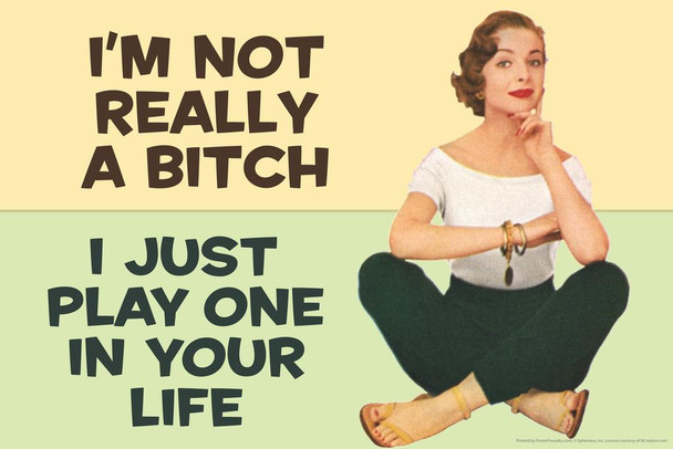 Im Not Really A Bitch I Just Play One In Your Life Humor Cool Wall Decor Art Print Poster 24x16
