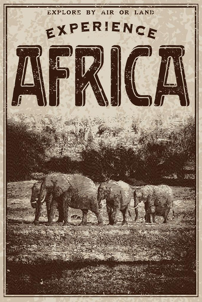 Vintage Victorian Style Experience Africa Advertisement Cool Wall Decor Art Print Poster 16x24