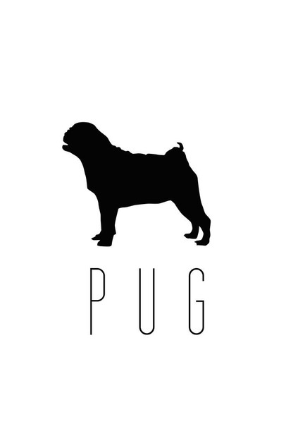 Dogs Pug White Dog Posters For Wall Funny Dog Wall Art Dog Wall Decor Dog Posters For Kids Bedroom Animal Wall Poster Cute Animal Posters Cool Wall Art Print Poster 16x24
