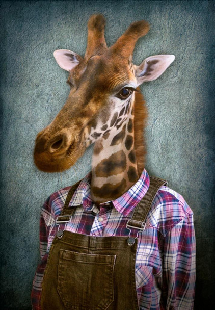 Giraffe Head Wearing Human Clothes Funny Parody Animal Art Photo Cool Wall Decor Art Print Poster 16x24