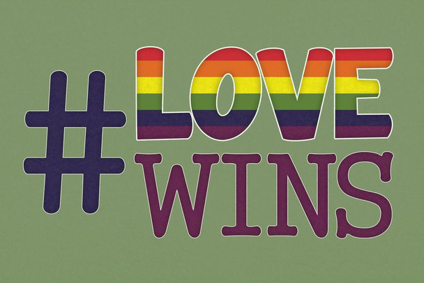 Laminated Love Wins Rainbow II Hashtag Poster Dry Erase Sign 16x24