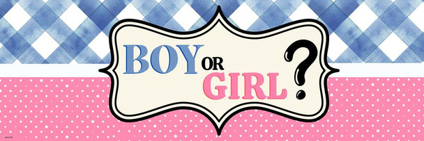 Gender Reveal Poster Boy or Girl Him or Her Baby Party Decorations Little Star Supply Supplies Stuff Cute Design Blue Pink Ideas Photo Picture Welcome Banner Cool Wall Art Print Poster 36x12