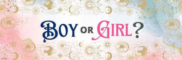 Gender Reveal Poster Boy or Girl Him or Her Baby Party Supply Supplies Decorations  Little Star Stuff Cute Design Blue Pink Ideas Photo Picture Welcome Banner Cool Wall Decor Art Print Poster 36x12