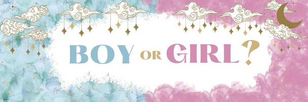 Gender Reveal Poster Boy or Girl Him or Her Baby Party Decorations Supply Supplies Little Star Stuff Cute Design Blue Pink Ideas Photo Picture Welcome Banner Cool Wall Art Print Poster 36x12
