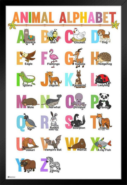 Animal Alphabet Letters Poster ABC Toddler Kids Grade Education Educational Preschool Daycare Nursery Kinder Classroom School Homeschool Learn Learning Large White Wood Framed Poster 14x20
