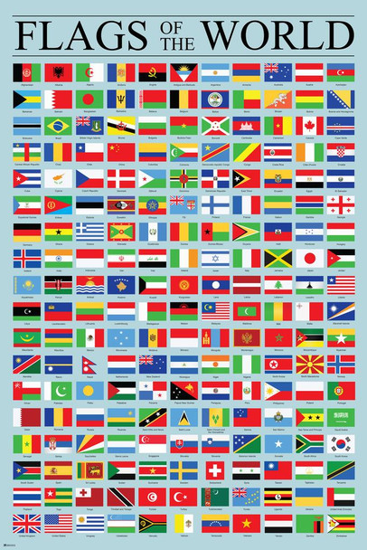 Flags of the World Classroom Reference Chart National Countries Country Symbol Educational Teacher Learning Homeschool Display Supplies Teaching Aide Stretched Canvas Art Wall Decor 16x24